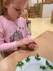 340610262 179777738269160 2058452518537204706 n